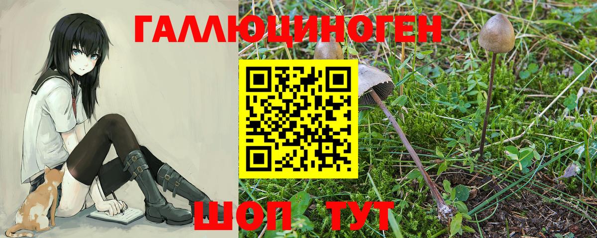 Заречный  Псилоцибиновые грибы ЛСД  Галлюциногенные грибы GOLDEN TEACHER  Вход с VPN 