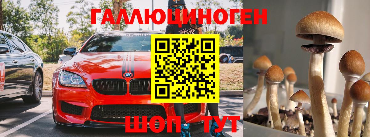 Псилоцибиновые грибы прущие грибы Заречный
